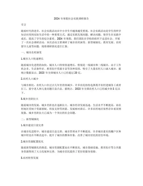 2024年寒假社会实践调研报告