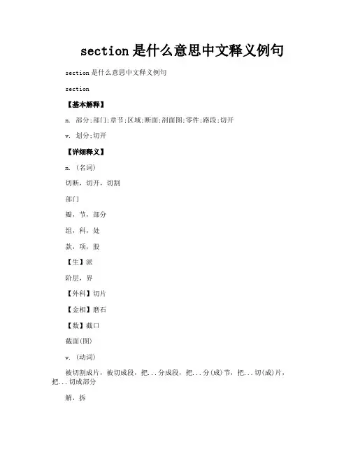 section是什么意思中文释义例句