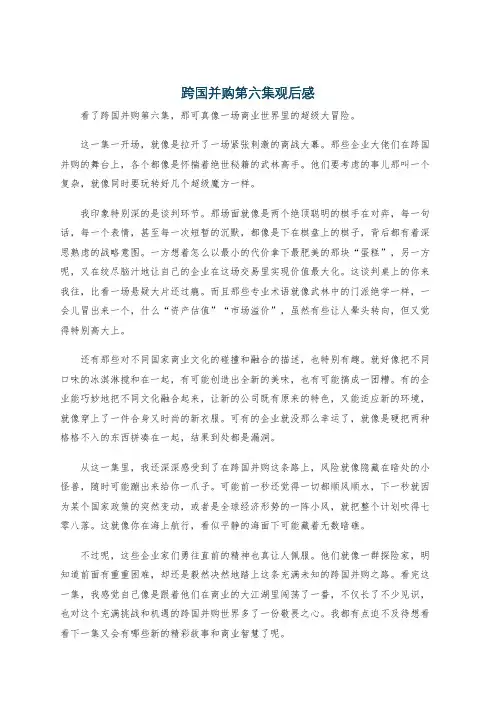 跨国并购第六集观后感