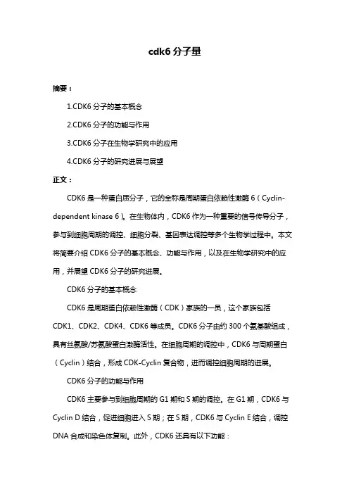 cdk6分子量