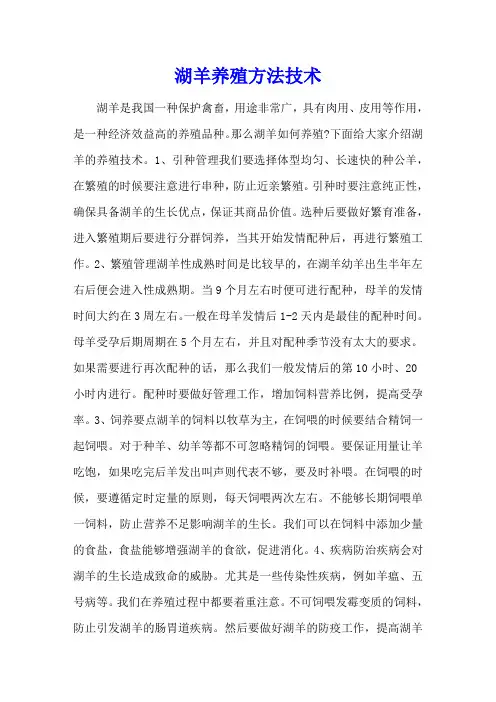 湖羊养殖方法技术