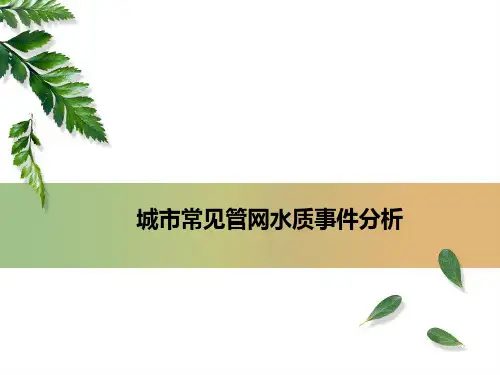 常见管网水质事件分析