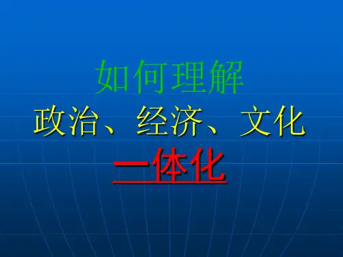 如何理解政治、经济、文化一体化