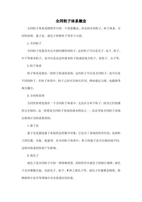 全同粒子体系概念