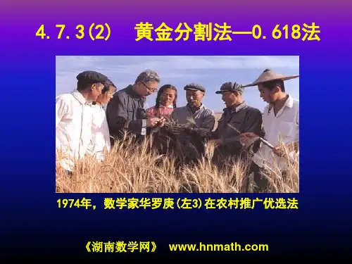 黄金分割法-0.618法