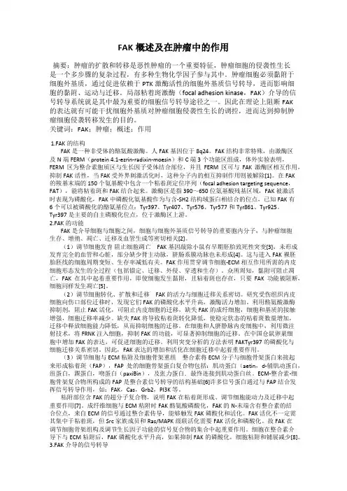 FAK概述及在肿瘤中的作用