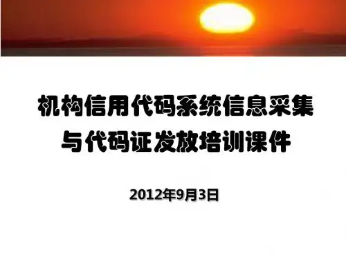 机构信用代码系统信息采集与代码证发放培训课件-文档资料