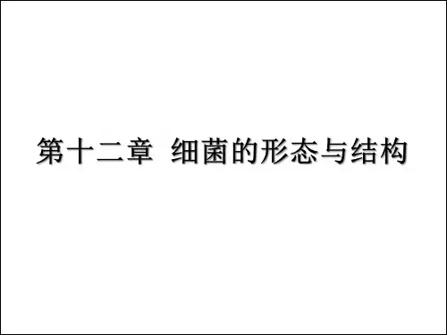 第12章+细菌的形态与结构
