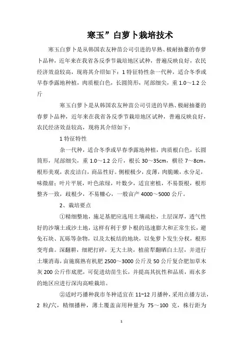 寒玉”白萝卜栽培技术
