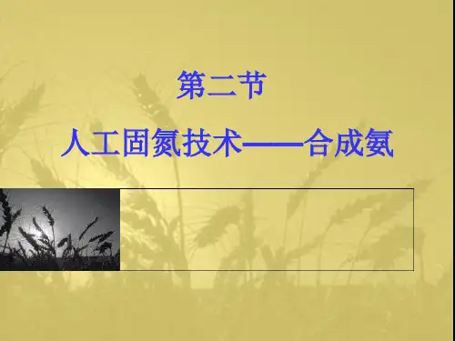 高二化学《人工固氮技术—合成氨》课件