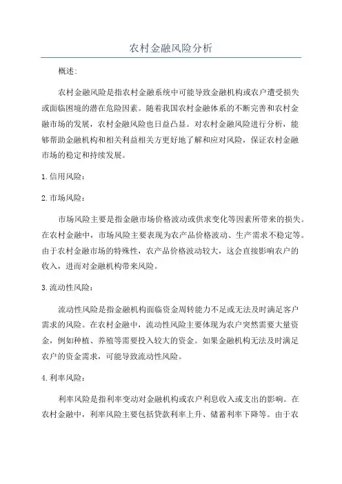 农村金融风险分析