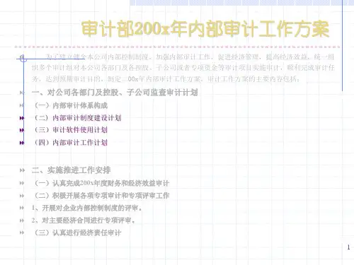 内部审计工作方案