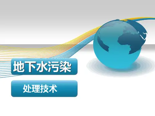 地下水污染及治理PPT