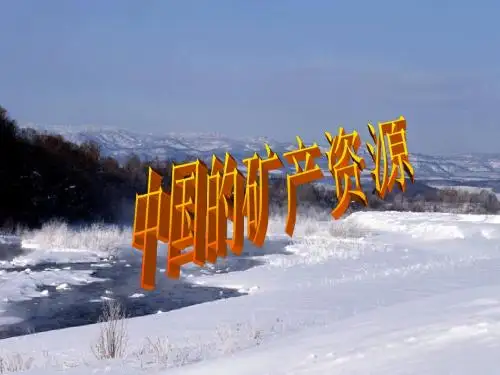 中国的矿产资源