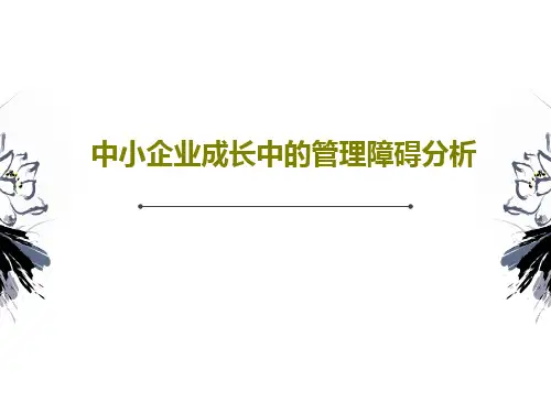 中小企业成长中的管理障碍分析40页PPT