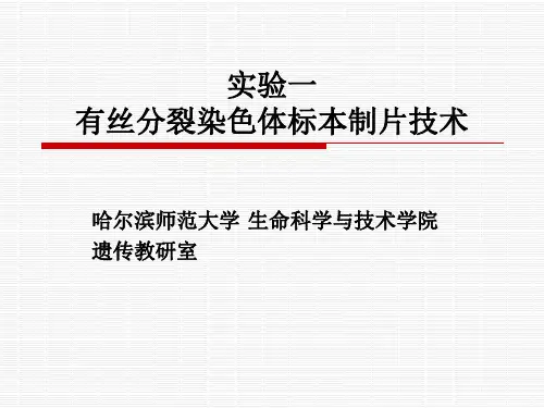 实验一 有丝分裂染色体标本制片技术