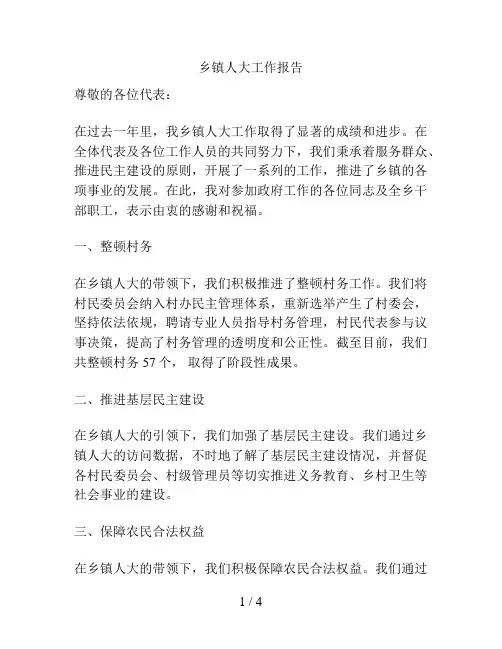 乡镇人大工作报告