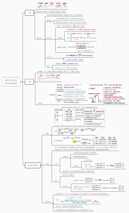新教材新高考化学高清思维导图：烃的衍生物与基本营养物质