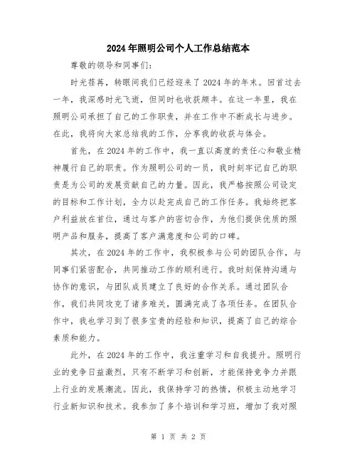 2024年照明公司个人工作总结范本
