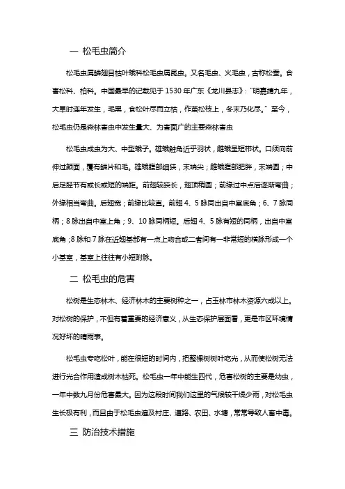 松毛虫
