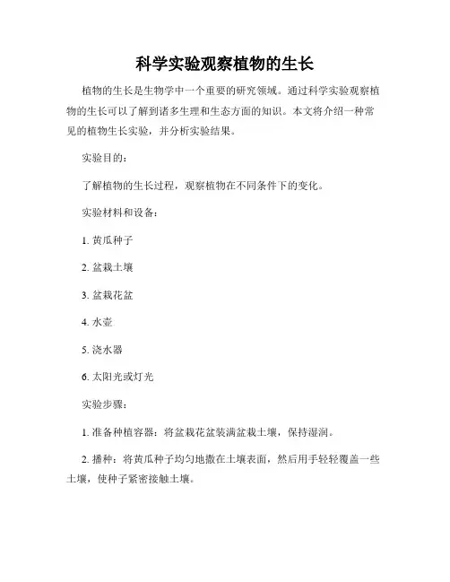 科学实验观察植物的生长