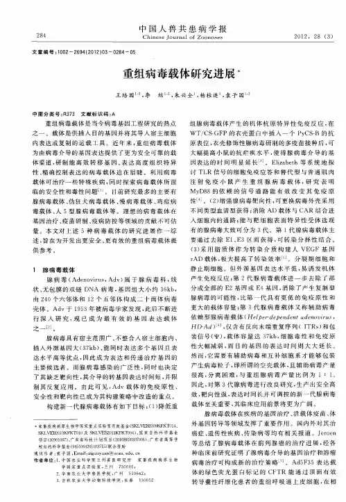 重组病毒载体研究进展