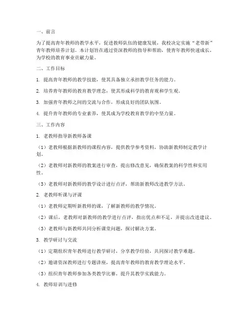 以老带新青年教师工作计划