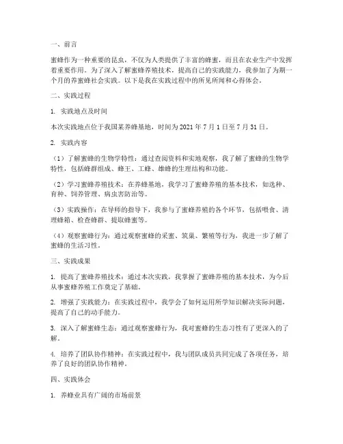 养蜜蜂社会实践报告
