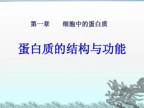 高中生物必修一第二章第1节蛋白质的结构
