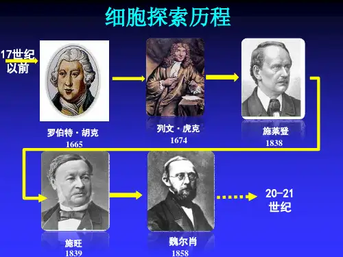 人教版高一生物必修1第一章第1节走近细胞(共35张)