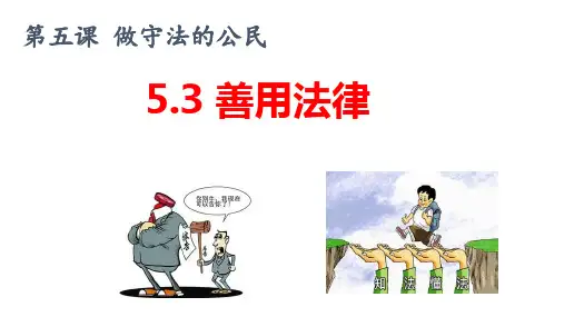 5.3善用法律课件(共31张PPT)