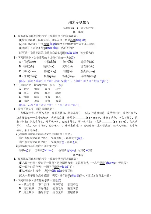 人教版九年级上册语文期末专项复习