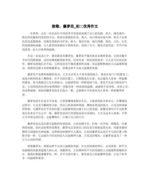 致敬,藤萝花_初二优秀作文