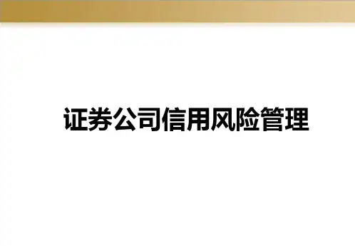 证券公司风险管理专题PPT课件