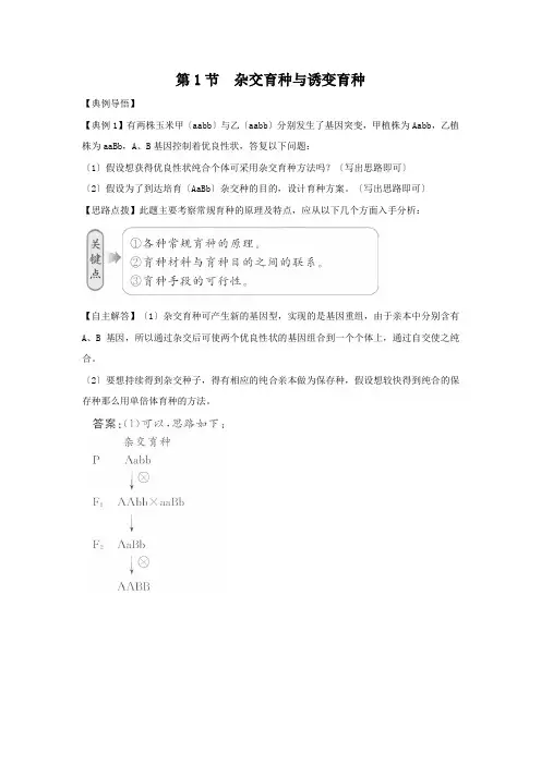 高中生物同步练习：6.1杂交育种与诱变育种(新人教版必修2)