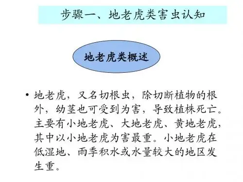 地老虎