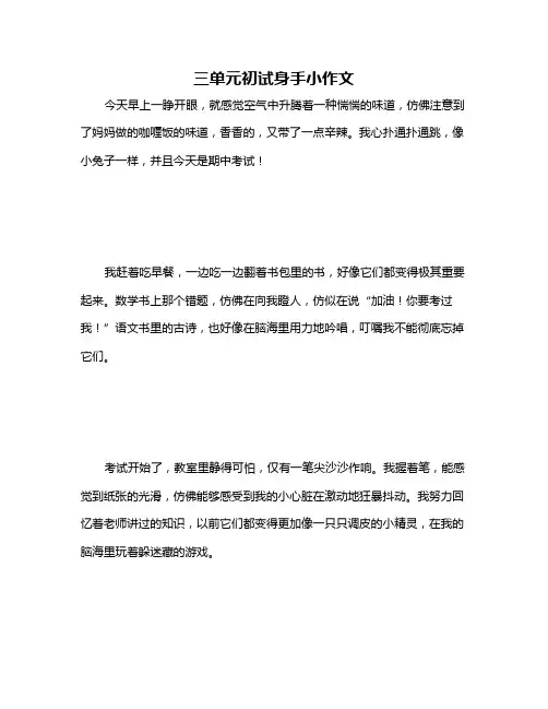 三单元初试身手小作文