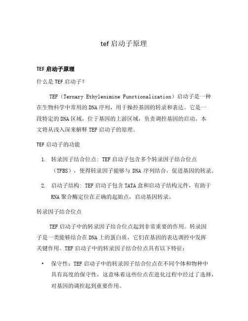 tef启动子原理