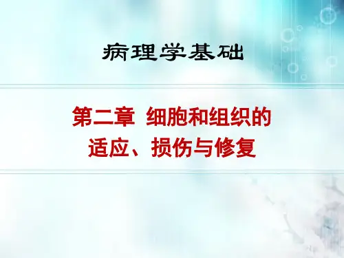 病理学第二章细胞、组织的适应、损伤与修复