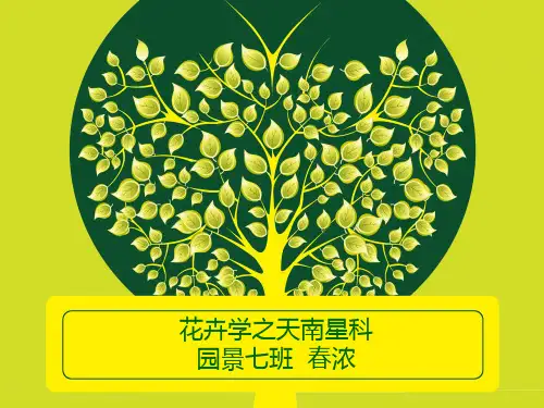 花卉植物大全