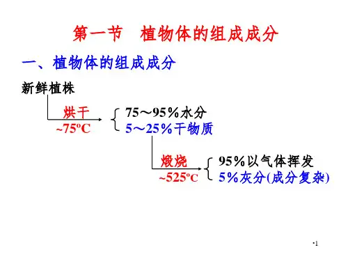 植物营养元素幻灯片