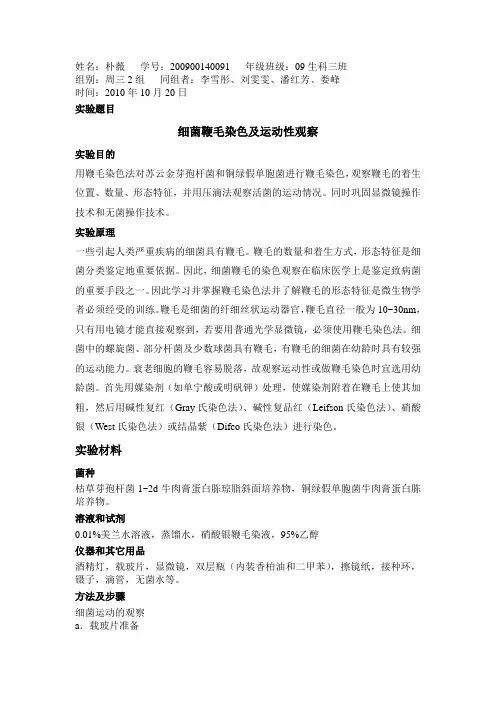 鞭毛染色