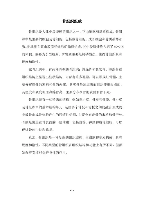 骨组织组成