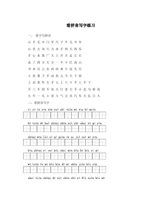 看拼音写字练习