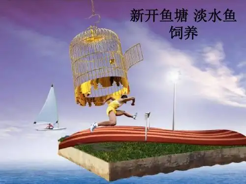 新开鱼塘 淡水鱼饲养ppt课件