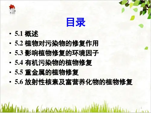 污染环境的植物修复原理知识讲解PPT.