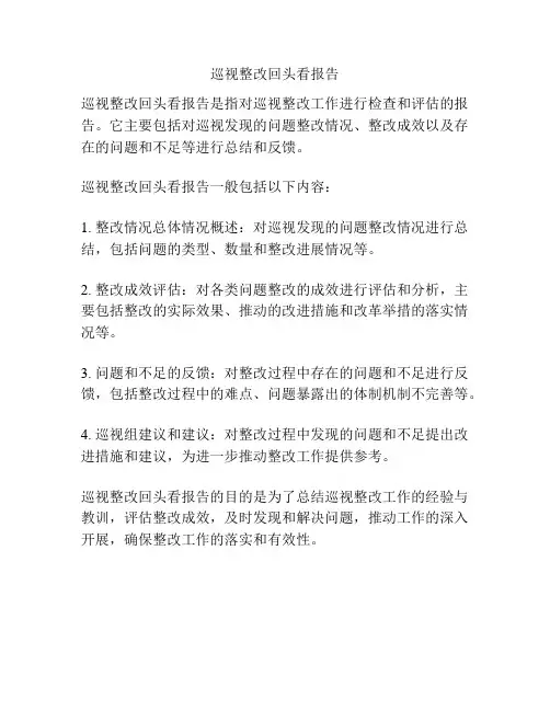 巡视整改回头看报告