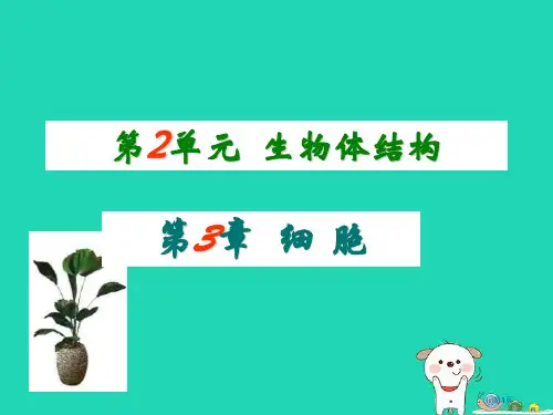 七年级生物上册2.2.2细胞是生命活动的单位