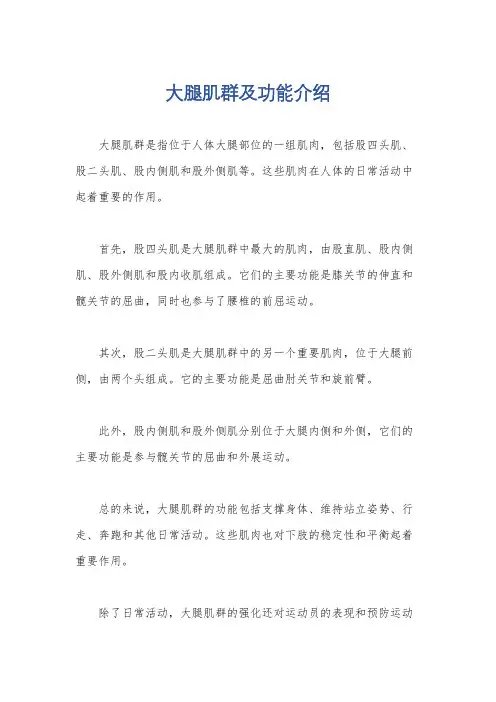 大腿肌群及功能介绍