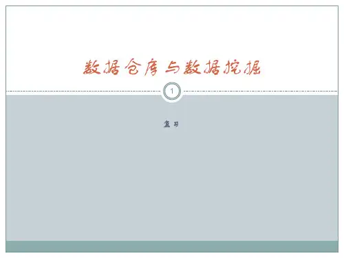 数据仓库与数据挖掘复习资料ppt课件